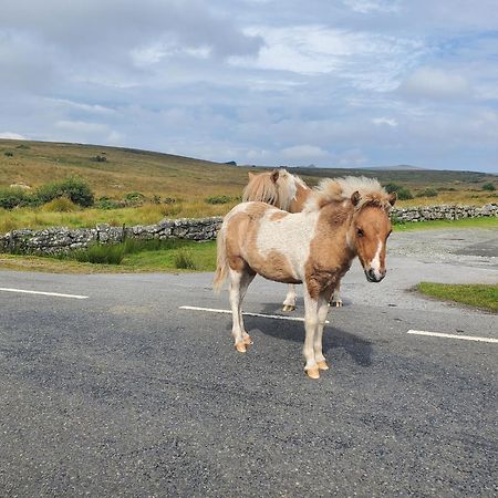 Dartmoor Reach Alpaca Farm Heated Cabins 5 Mins Drive To Dartmoor Бови-Трейси Экстерьер фото