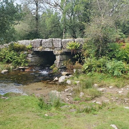 Dartmoor Reach Alpaca Farm Heated Cabins 5 Mins Drive To Dartmoor Бови-Трейси Экстерьер фото