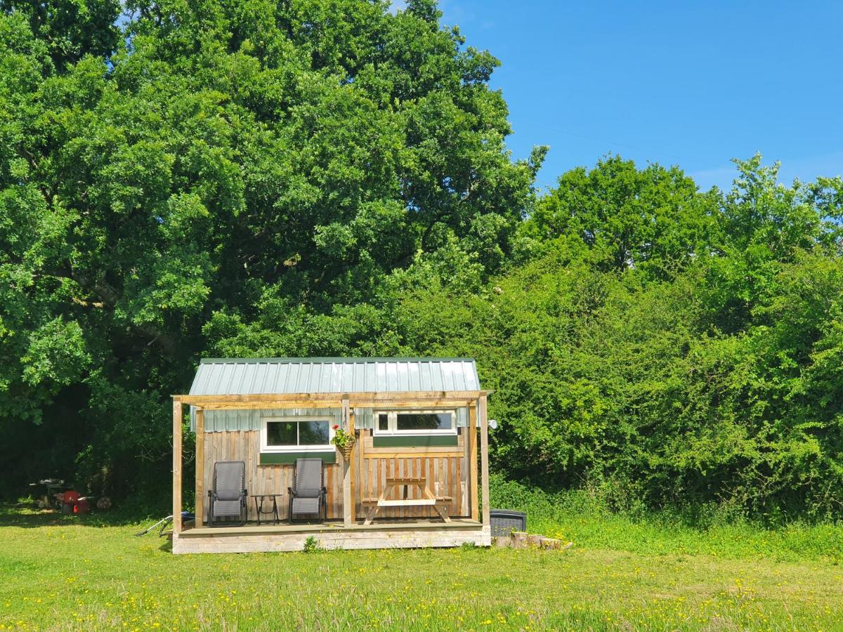 Dartmoor Reach Alpaca Farm Heated Cabins 5 Mins Drive To Dartmoor Бови-Трейси Экстерьер фото