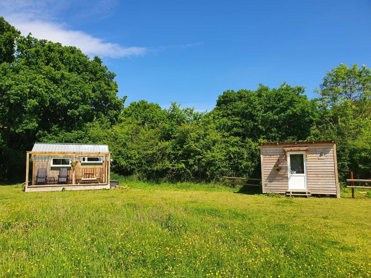 Dartmoor Reach Alpaca Farm Heated Cabins 5 Mins Drive To Dartmoor Бови-Трейси Экстерьер фото